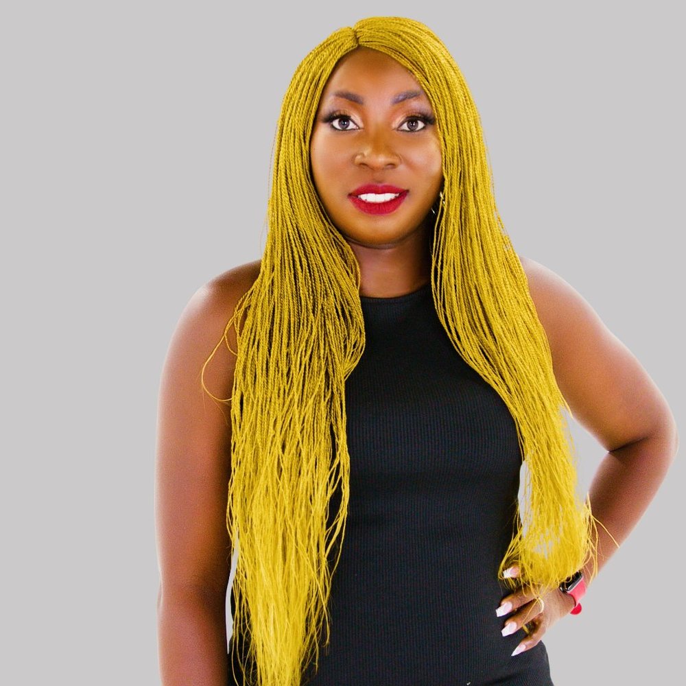 Braided full lace wig , micro million braids, long Absolutely gorgeous